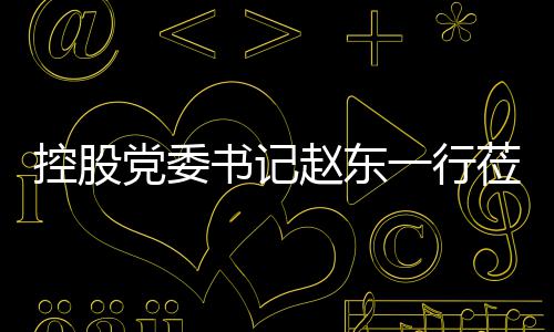 赵东指导工作环境书记党委莅临一行控股